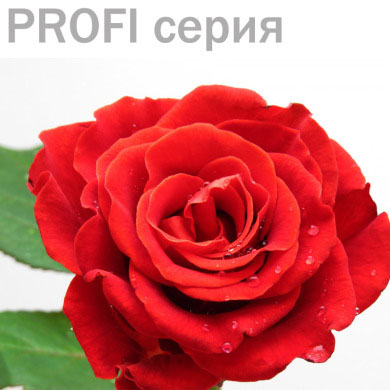 Роза 1 мл